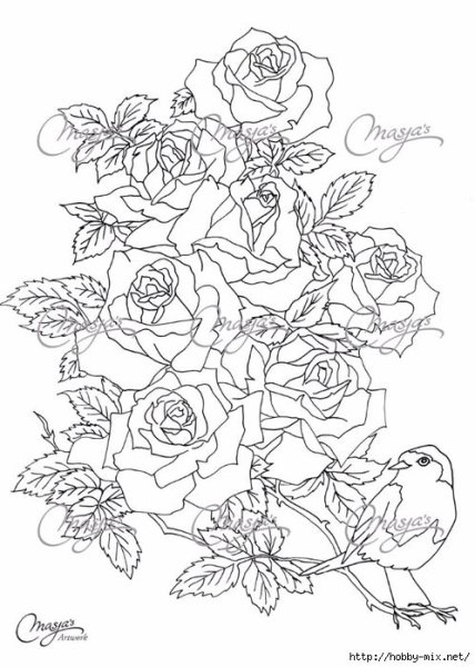 Букет роз карандашом