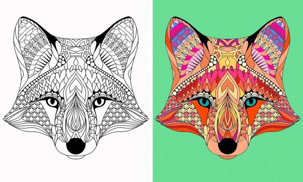 Раскраски сложные