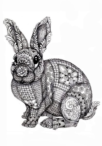 Раскраска-антистресс. Собака