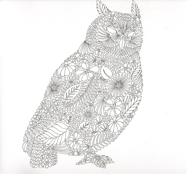 Раскраска антистресс