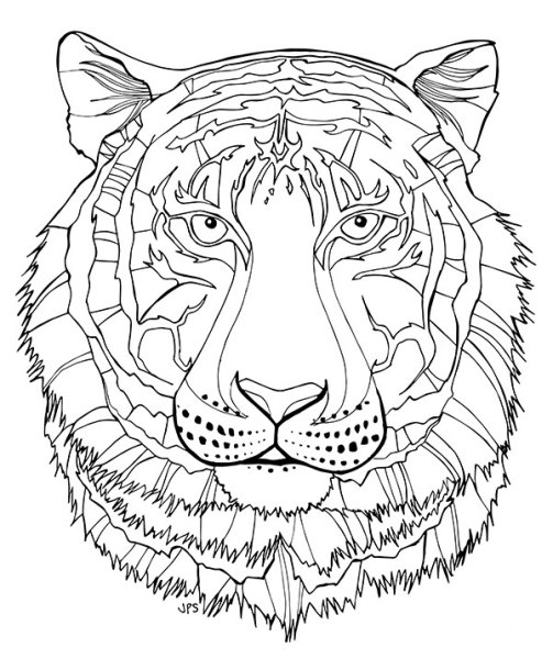 Раскраска антистресс Лев