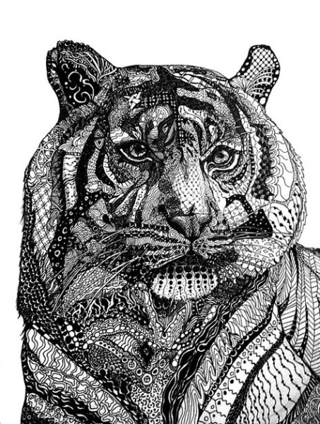 Тигр чёрной ручкой