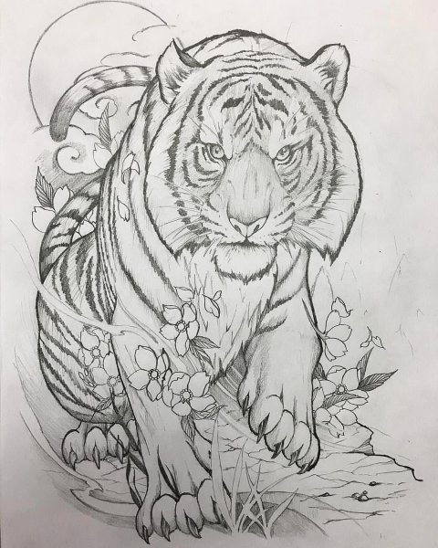 Графика животные карандашом