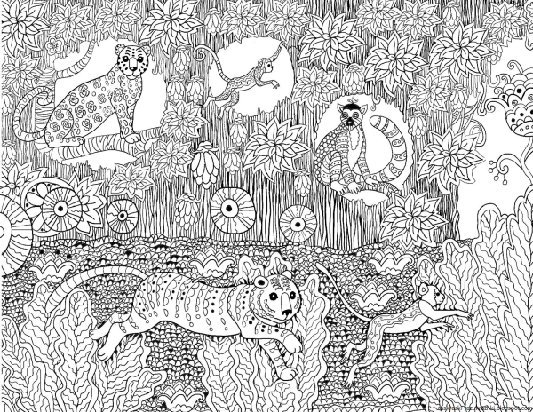 Мелкие раскраски