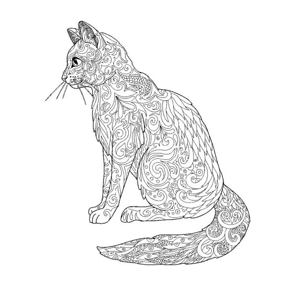 Кот карандашом