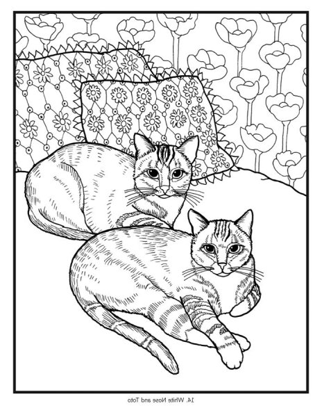 Раскраска. Котики