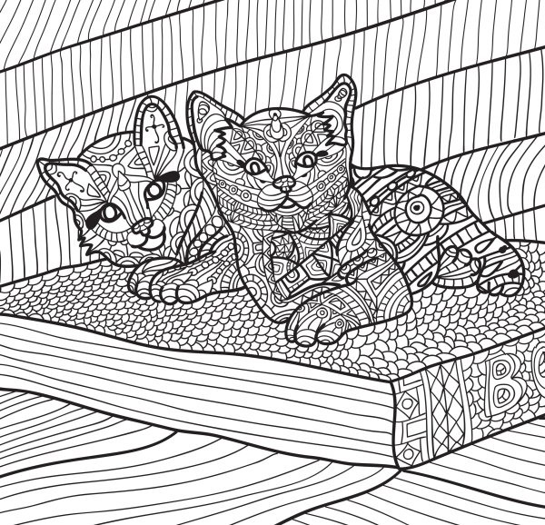 Раскраски антистресс котики легкие