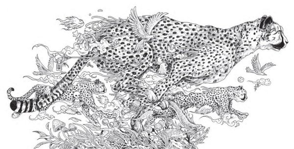 Раскраски антистресс Керби Розанес