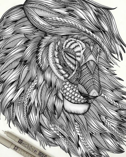 Фей Халлидей (Faye Halliday)