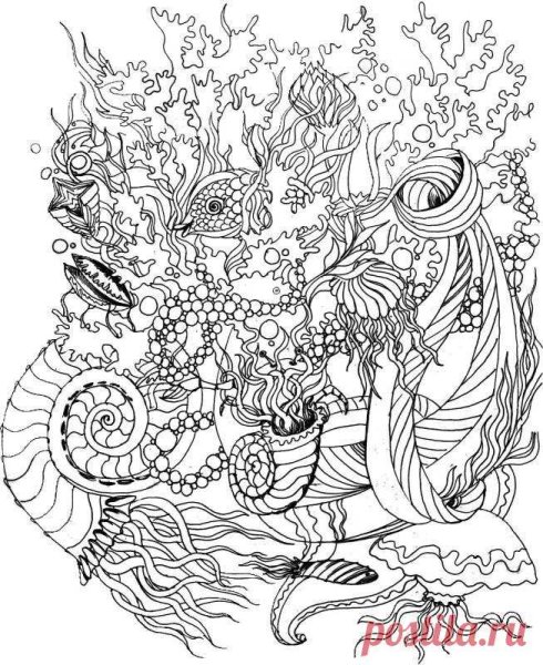 Раскраски сложные и красивые