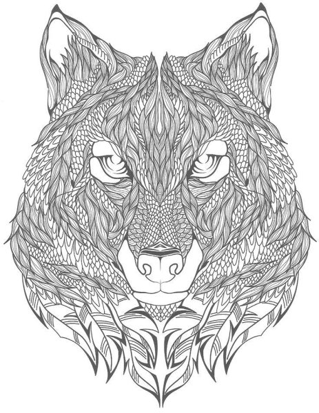 Раскраска антистресс