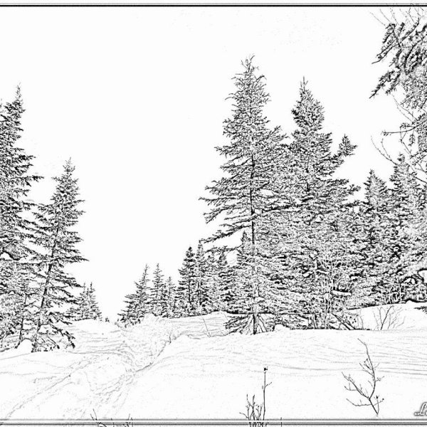 Картины по номерам зима шиппер