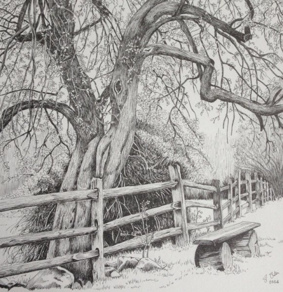 Зимний пейзаж набросок