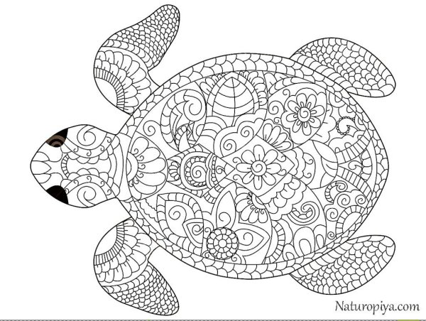 Черепашка антистресс