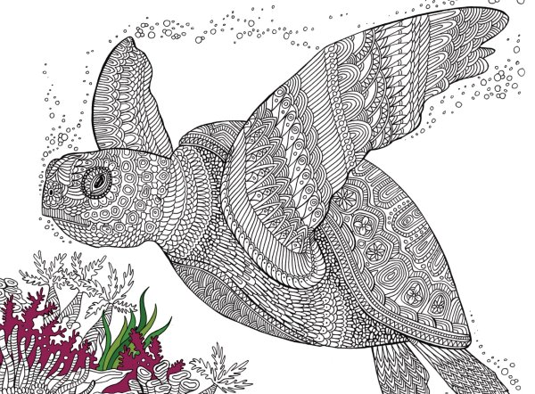 Черепаха раскраска сложная