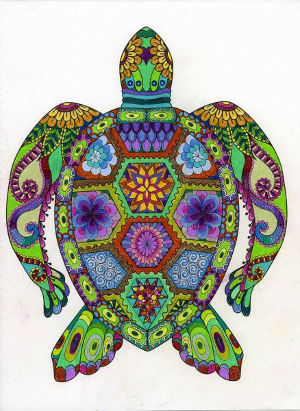 Разноцветная черепаха