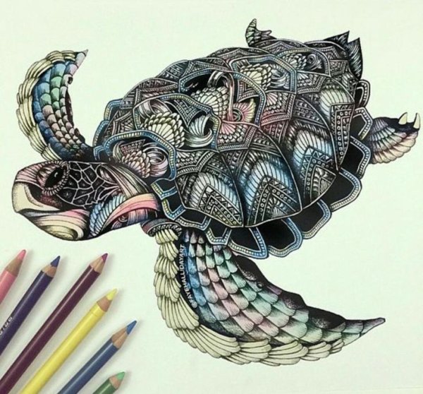 Сова в стиле дудлинг и Зентангл