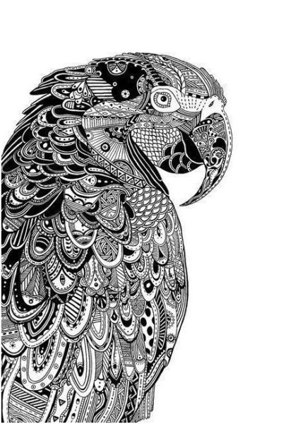 Sarnat Marjorie "Совушки"