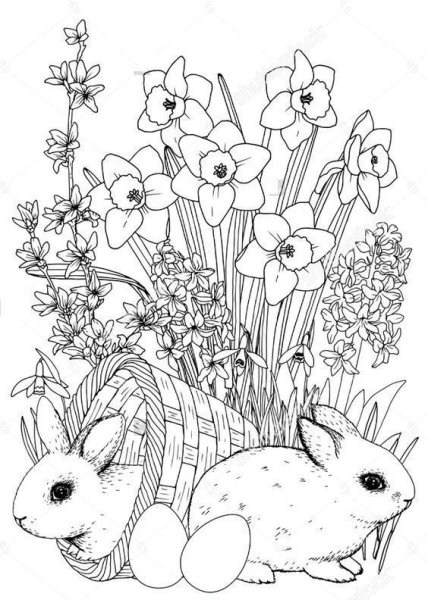 Цыплята в корзинке раскраска