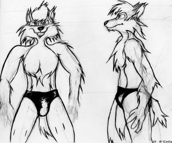 Основа для рисования фурри