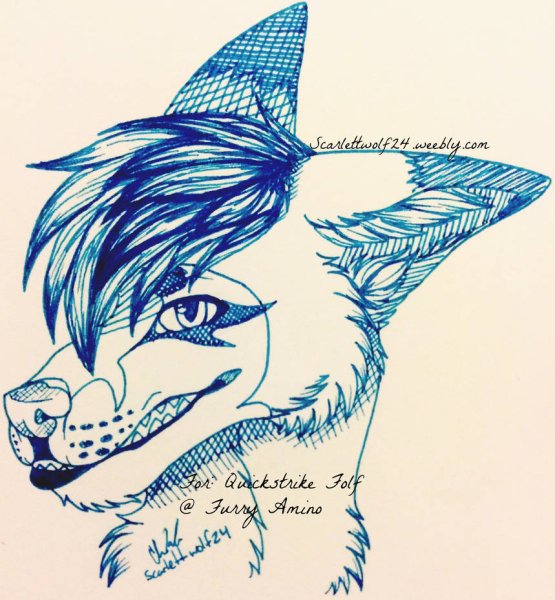 Фурри волки черной ручкой