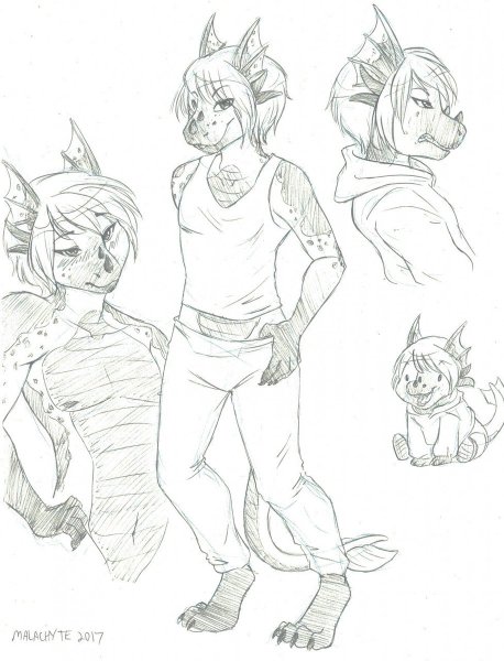 Формы для рисования фурри