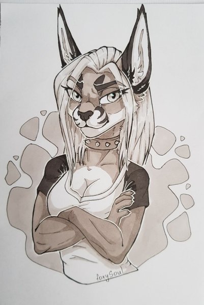 Фурри Рысь ariyah референс