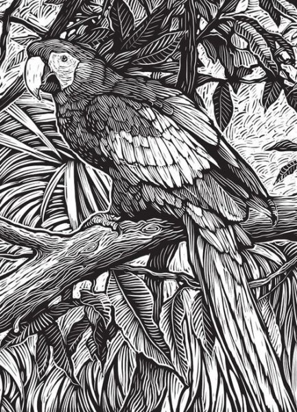 Самая трудная раскраска в мире