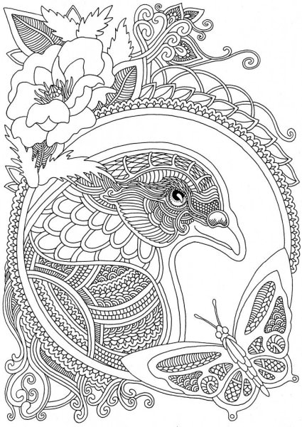 Раскраски антистресс птицы