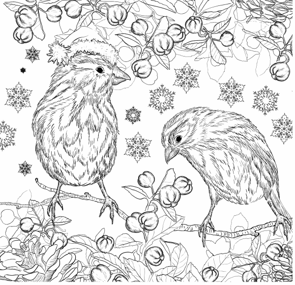 Птицы. Раскраска