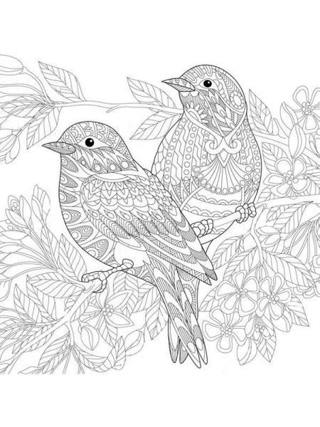 Бородатая неясыть раскраска