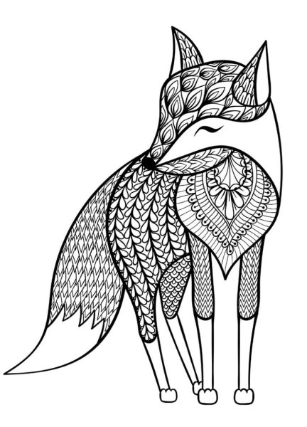 Раскраска Лисичка