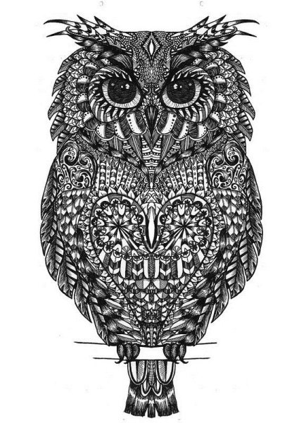 Зентангл Сова черно-белая