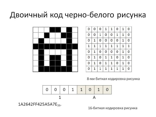 Раскраски по номерам сложные
