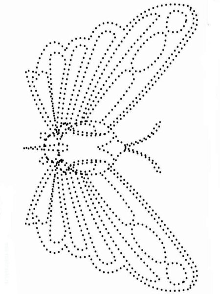 Обводка сложная