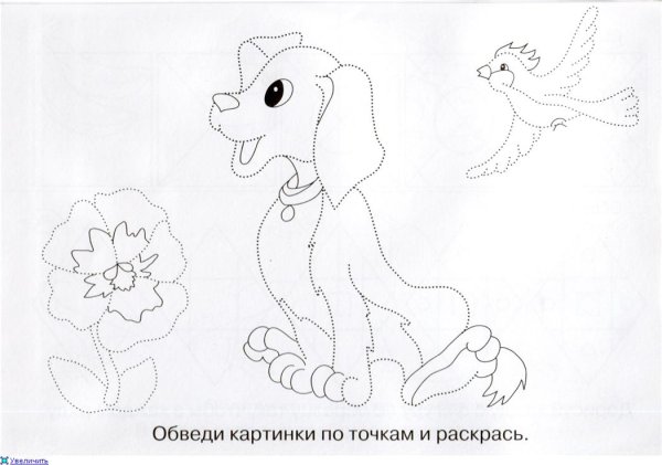 Обвести по точкам животных