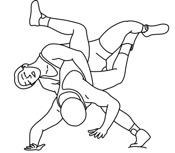 Вольная борьба