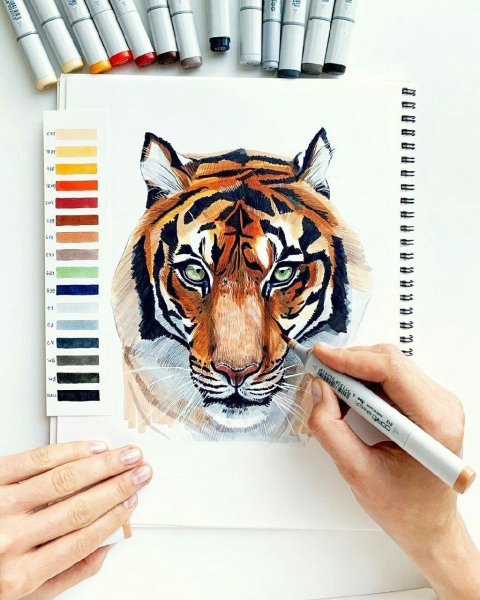 Картины маркерами