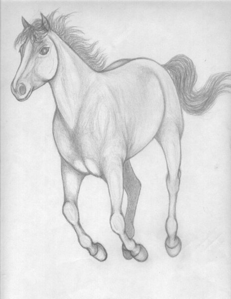 Лошадь лежит карандашом