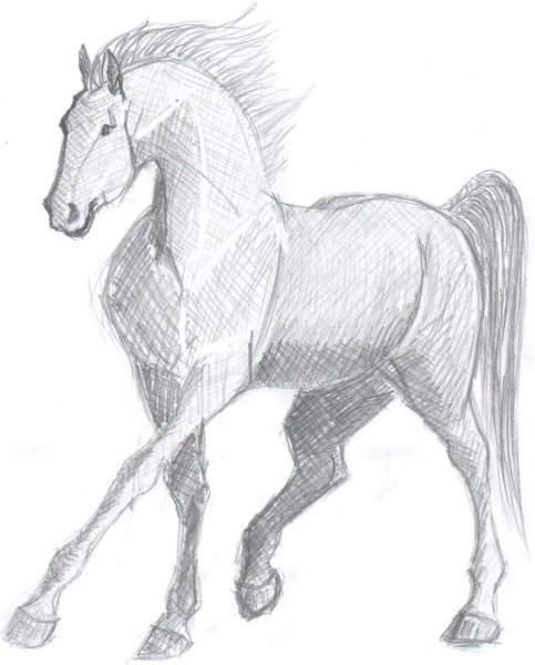 Лошадь рисунок карандашом