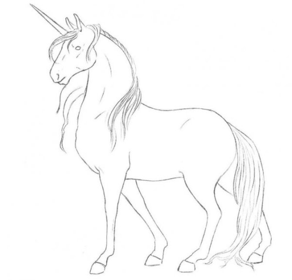Картинки лошадей карандашом