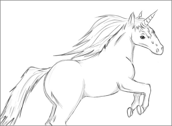 Рисунок лошади карандашом для срисовки