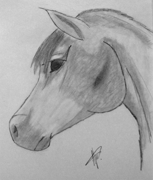 Рисунки пегасов карандашом