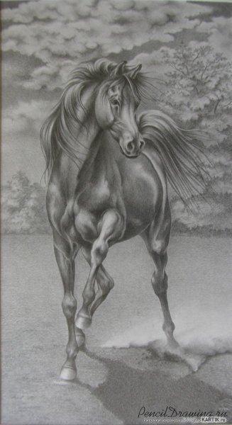 Нарисовать лошадь карандашом