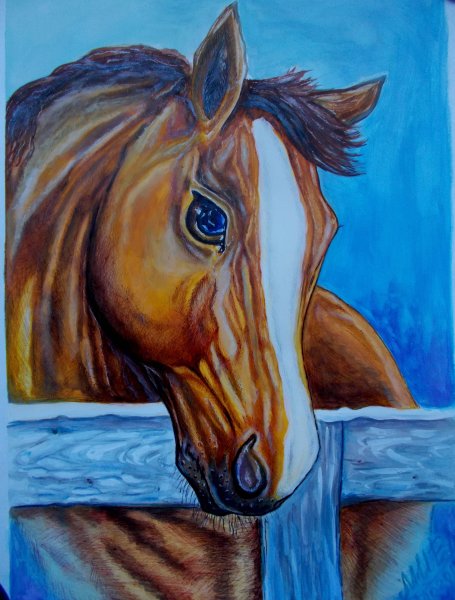 Акварельные рисунки для срисовки