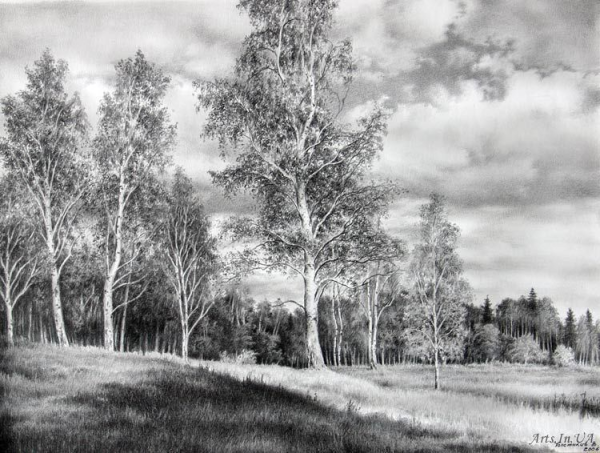 Природа карандашом