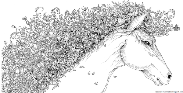 Mythomorphia Kerby Rosanes