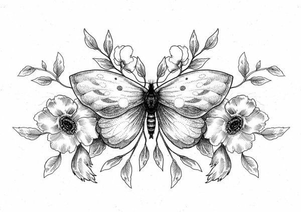 Бабочка тату эскиз