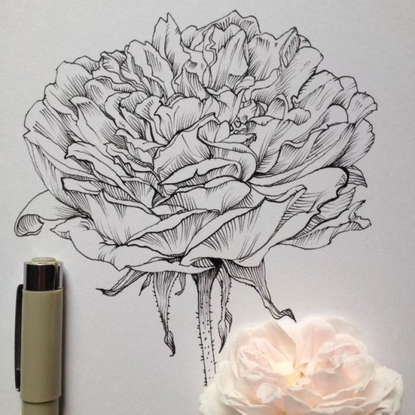 Цветы линером