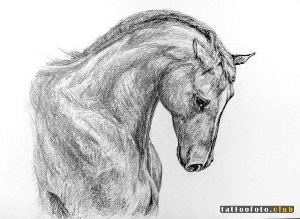 Красивые рисунки